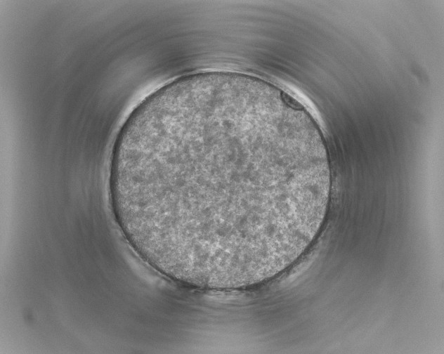 X0000114091146200911161031