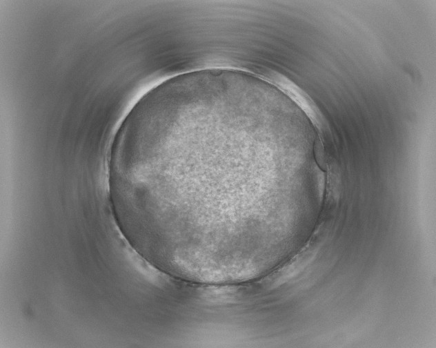 X0000114091148200911161031