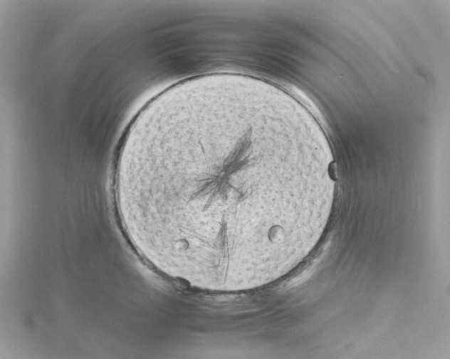 X0000114091149200911161031