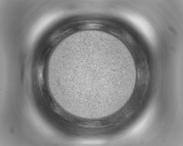 X0000114091150200911161031