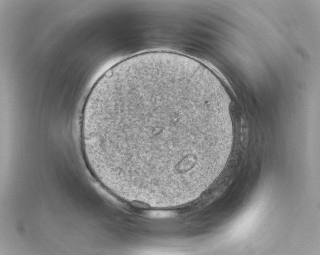 X0000114091151200911161031