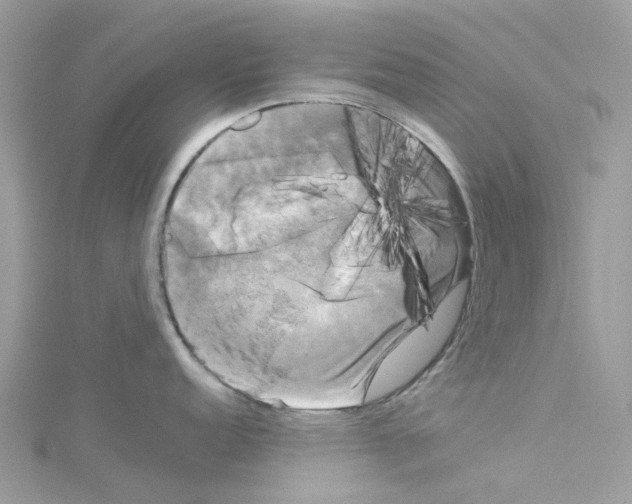 X0000114091152200911161031