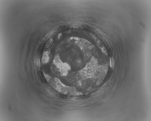 X0000114091155200911161031