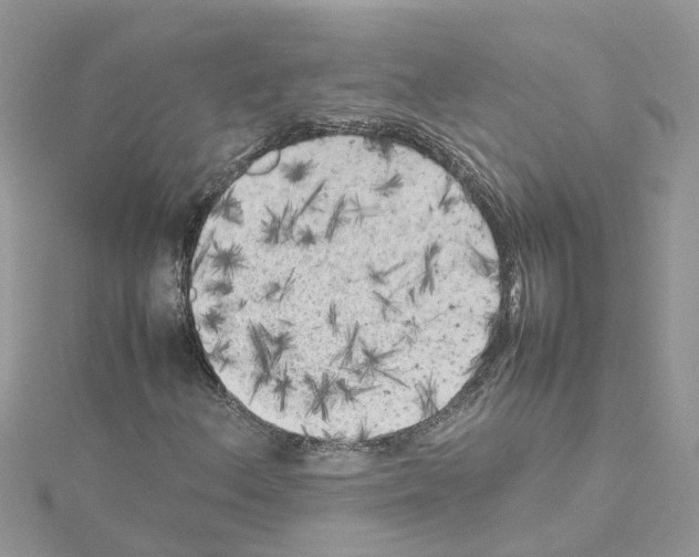 X0000114091156200911161031