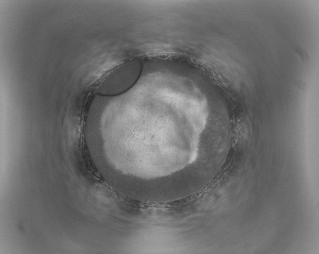 X0000114091157200911161031