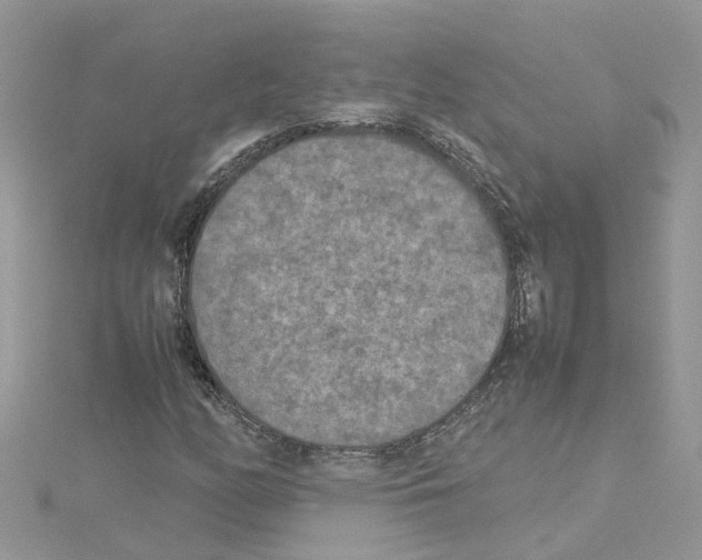 X0000114091158200911161031