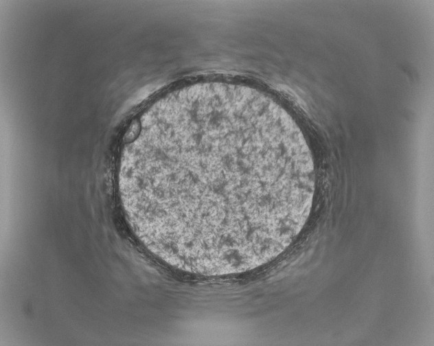 X0000114091159200911161031