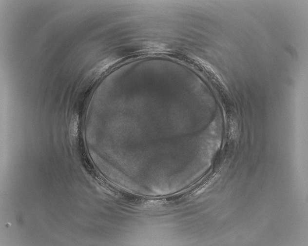 X0000114091161200911161031