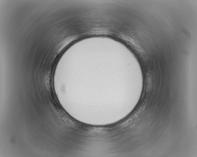 X0000114091162200911161031