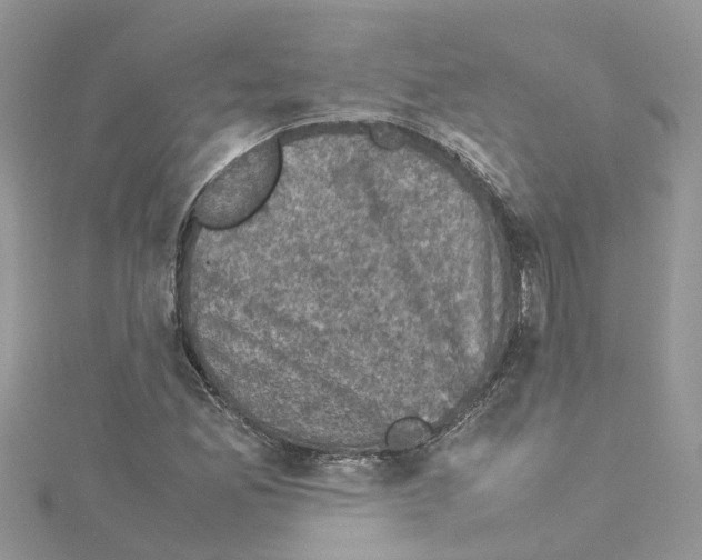 X0000114091165200911161031