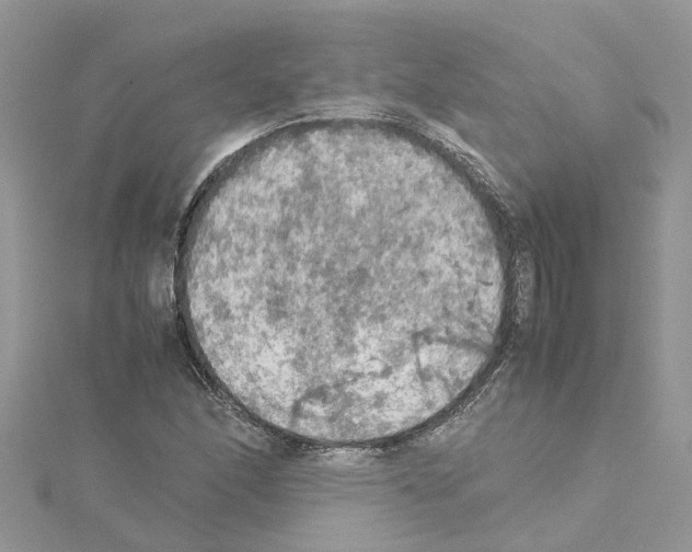 X0000114091166200911161031