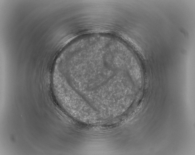 X0000114091169200911161031