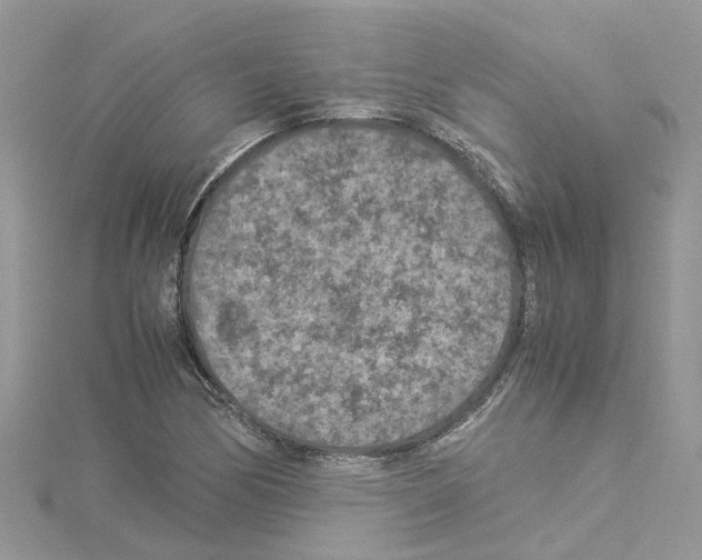 X0000114091170200911161031