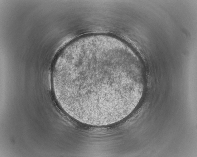 X0000114091171200911161031