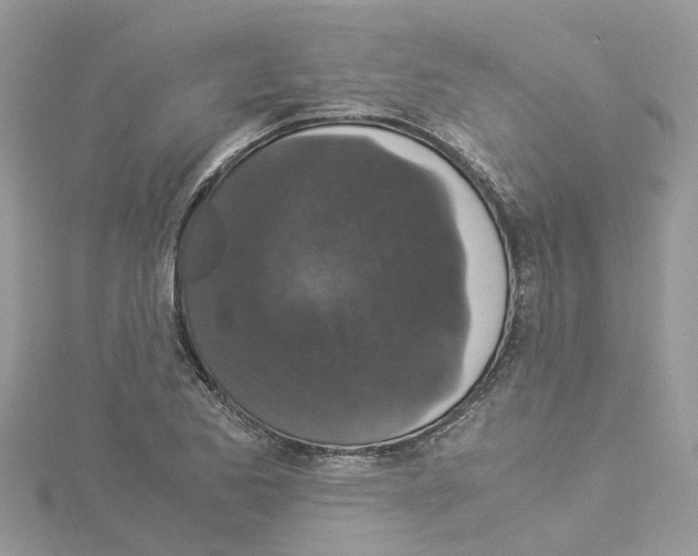 X0000114091173200911161031