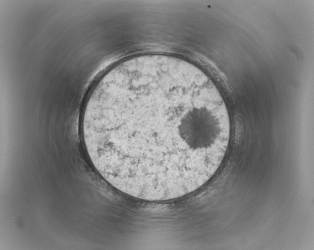 X0000114091174200911161030