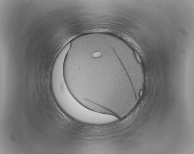 X0000114091177200911161030