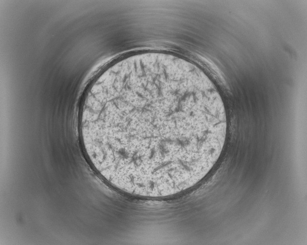 X0000114091180200911161030