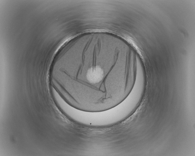 X0000114091181200911161030