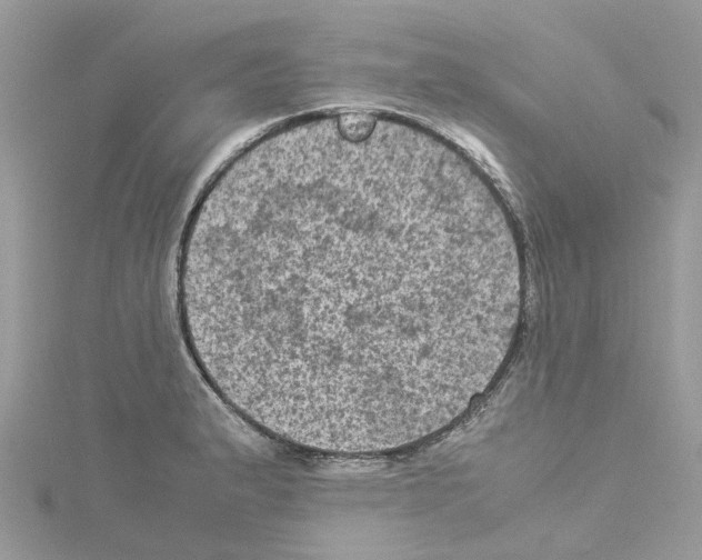 X0000114091183200911161030