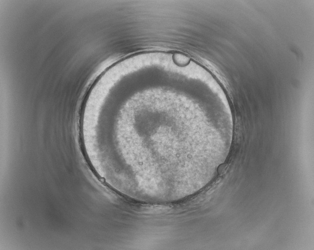 X0000114091187200911161030