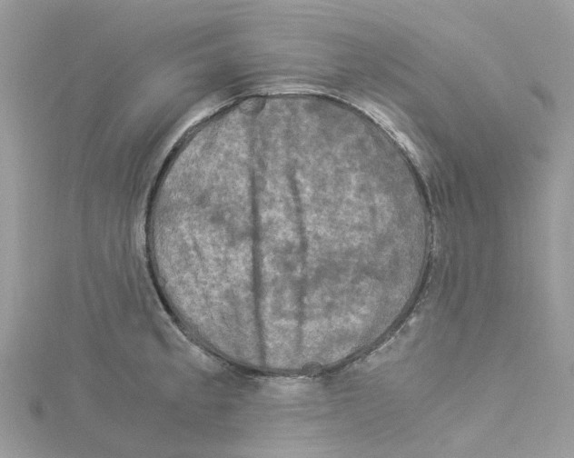 X0000114091189200911161030