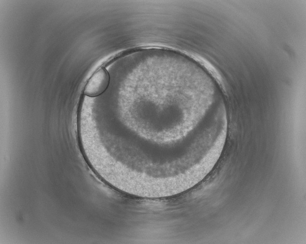 X0000114091191200911161030