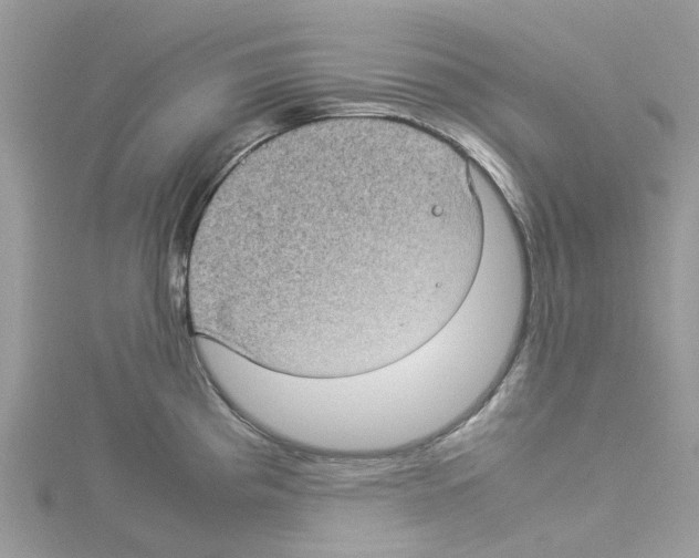 X0000114091193200911161030