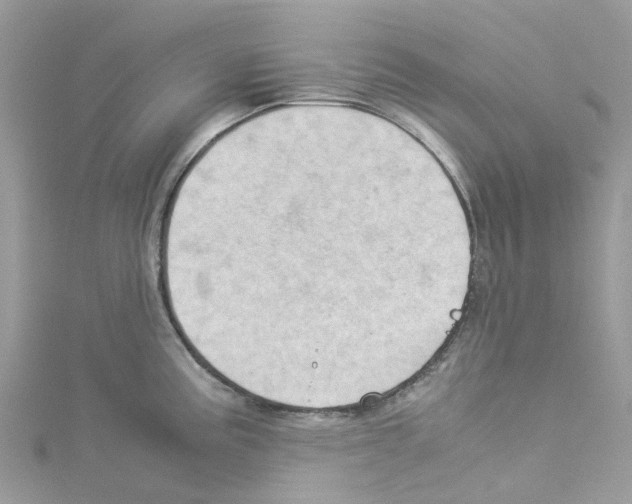 X0000114091195200911161030