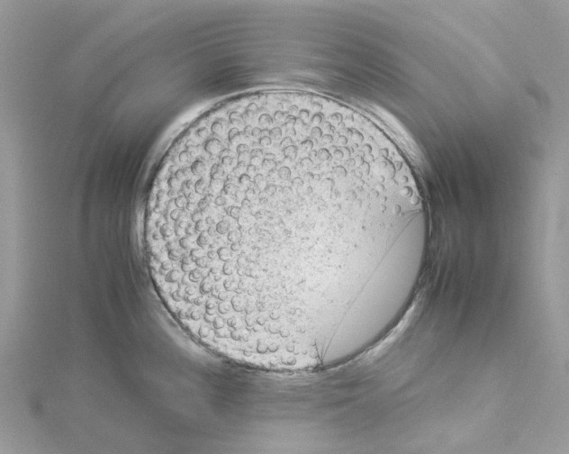 X0000114091196200911161030