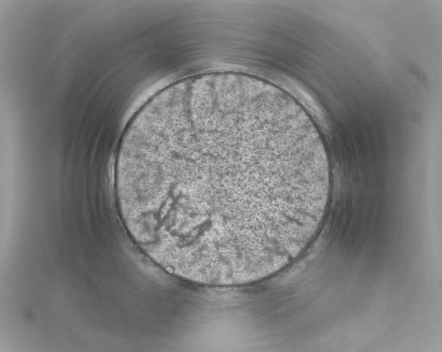 X0000114091198200911161030