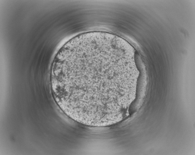 X0000114091200200911161030