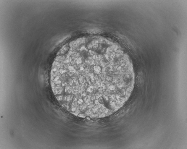 X0000114091205200911161030