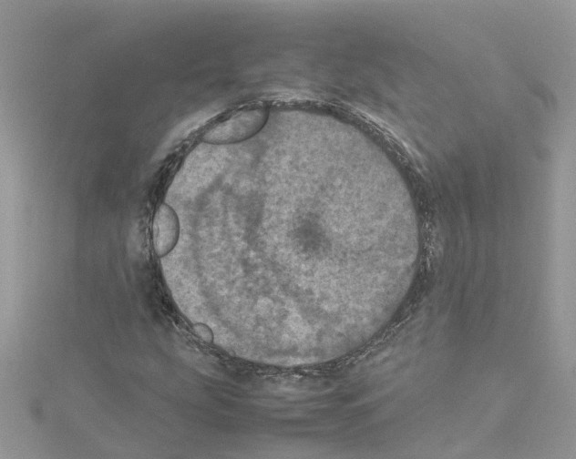 X0000114091207200911161030