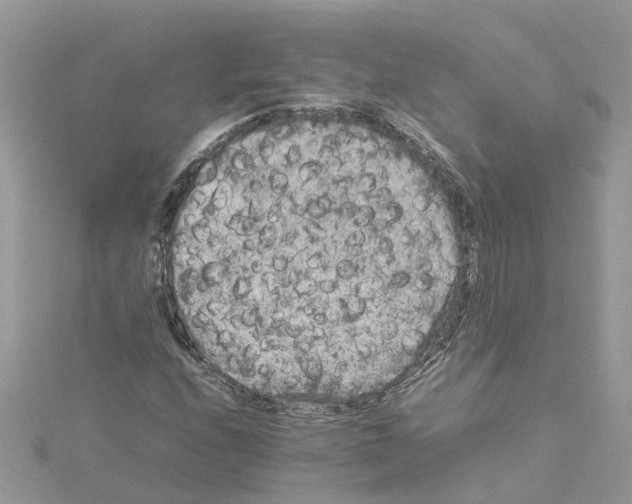 X0000114091208200911161030