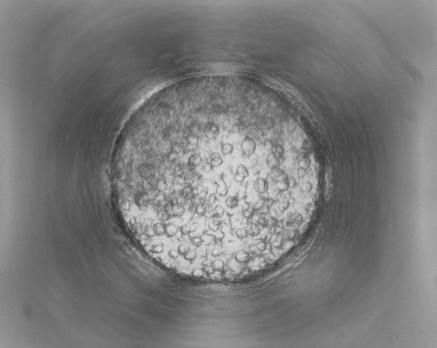 X0000114091212200911161030