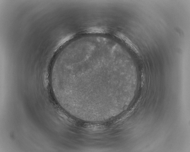 X0000114091213200911161030