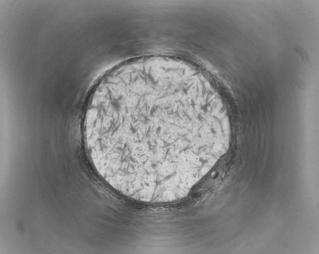 X0000114091214200911161030