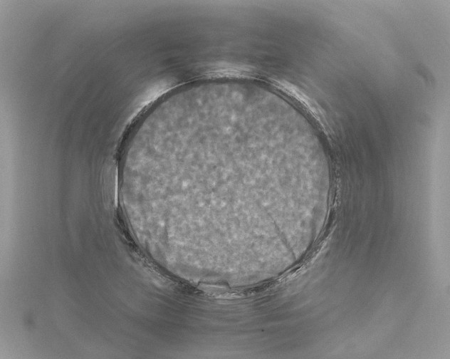 X0000114091219200911161030