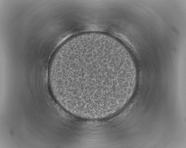 X0000114091220200911161030