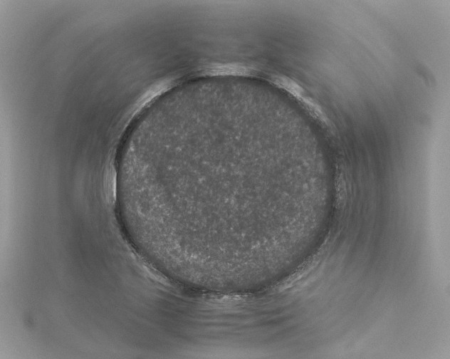 X0000114091221200911161030