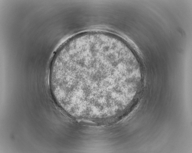 X0000114091224200911161030