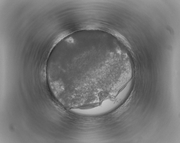 X0000114091226200911161030