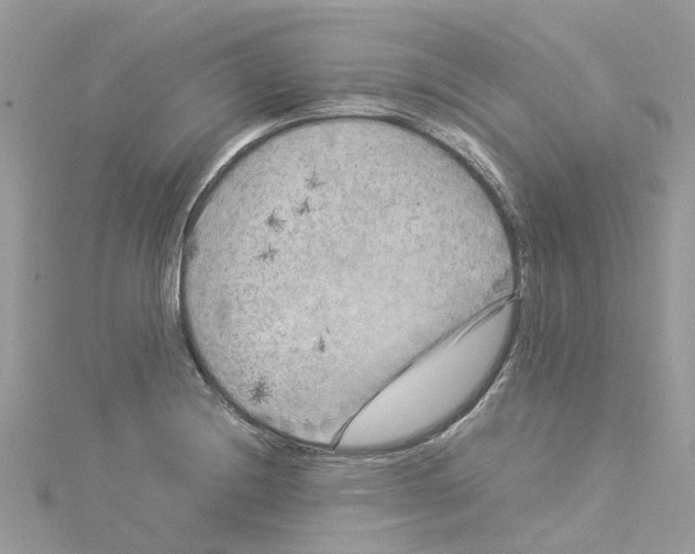 X0000114091228200911161030