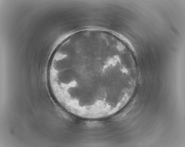 X0000114091231200911161030