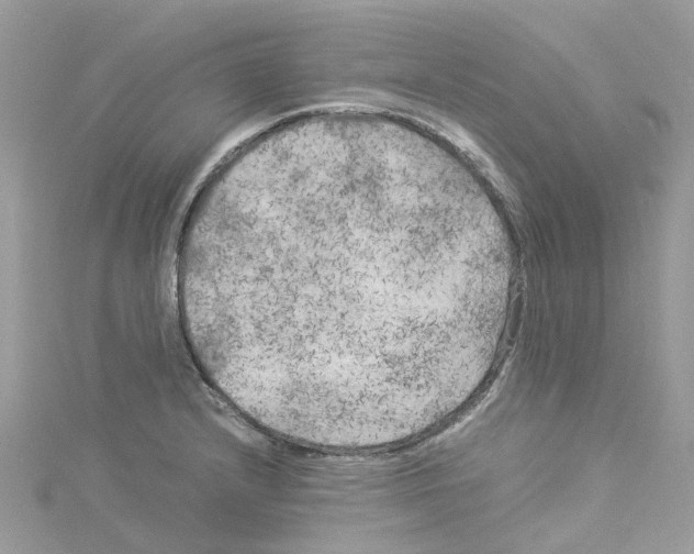 X0000114091232200911161030