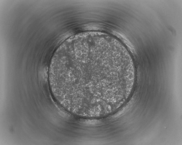 X0000114091233200911161030