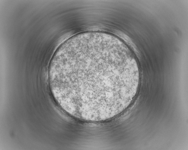 X0000114091234200911161030