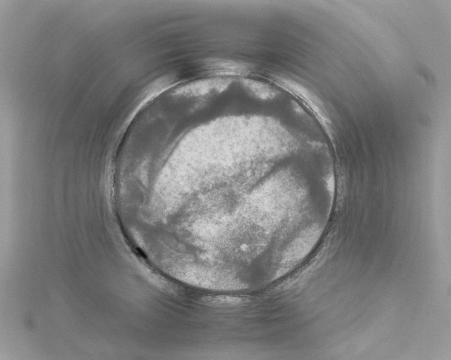 X0000114091235200911161030