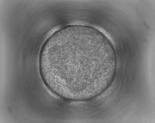 X0000114091237200911161030